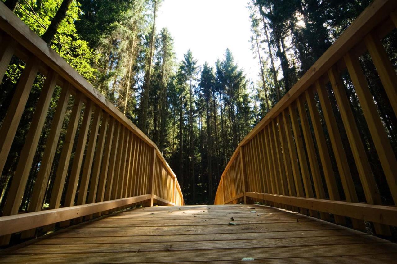 Forstgut - Premium Waldchalets Und Lodge Suiten Реген Экстерьер фото
