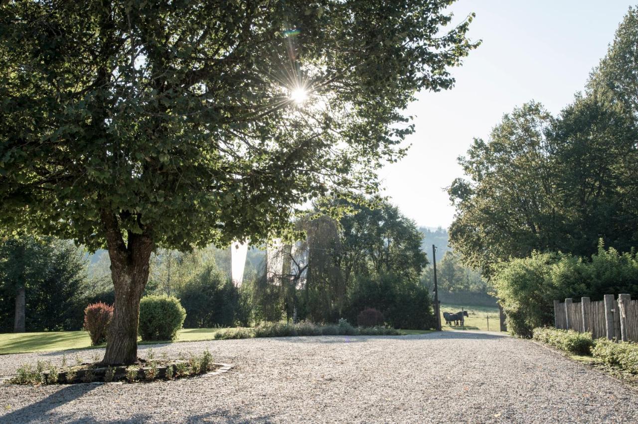 Forstgut - Premium Waldchalets Und Lodge Suiten Реген Экстерьер фото