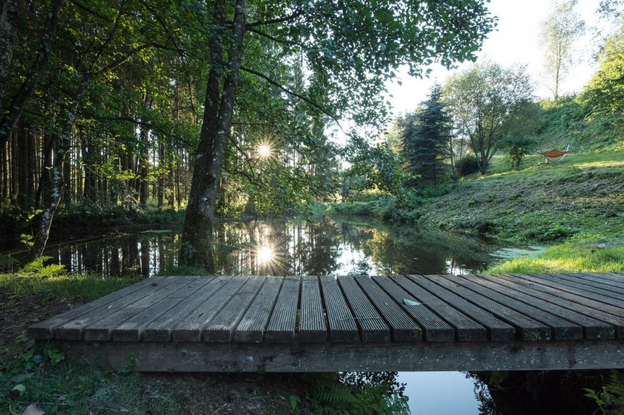 Forstgut - Premium Waldchalets Und Lodge Suiten Реген Экстерьер фото